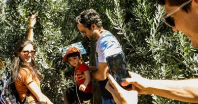 Turismo y sabor, San Juan propone una experiencia entre olivares