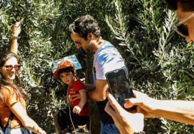 Turismo y sabor, San Juan propone una experiencia entre olivares